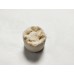 G Mini Mop 25mm x 20mm