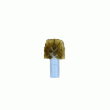 Dome Brush Brass 25mm 